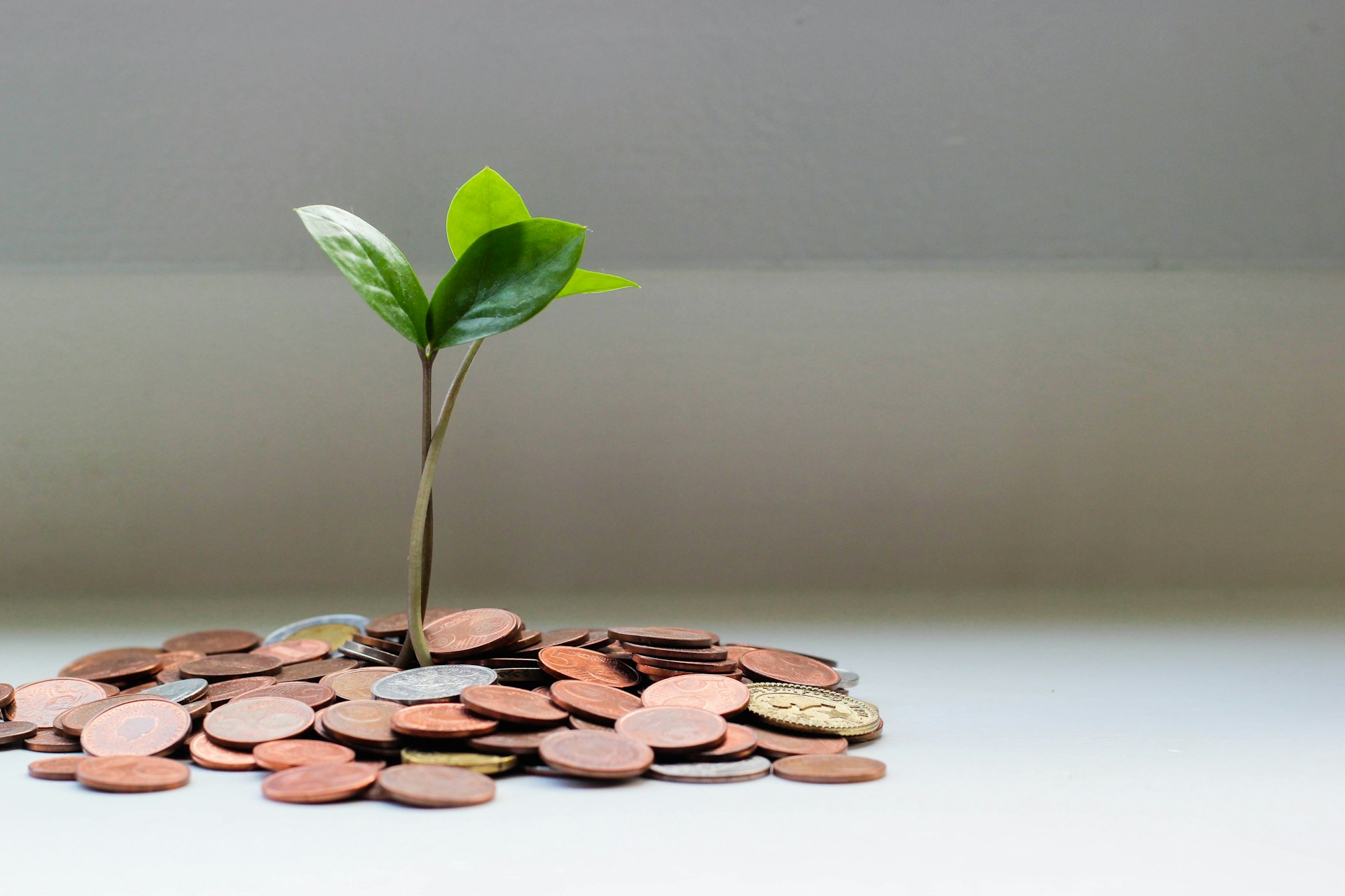 Microinsurance: Protecting the Most Vulnerable Against Life's Biggest Risks
